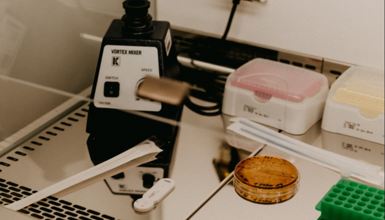 The Best Time to Study Chemistry